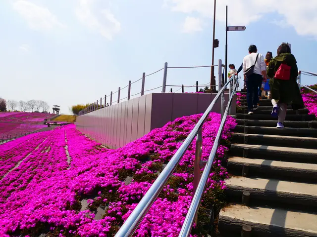 市貝町芝ざくら公園