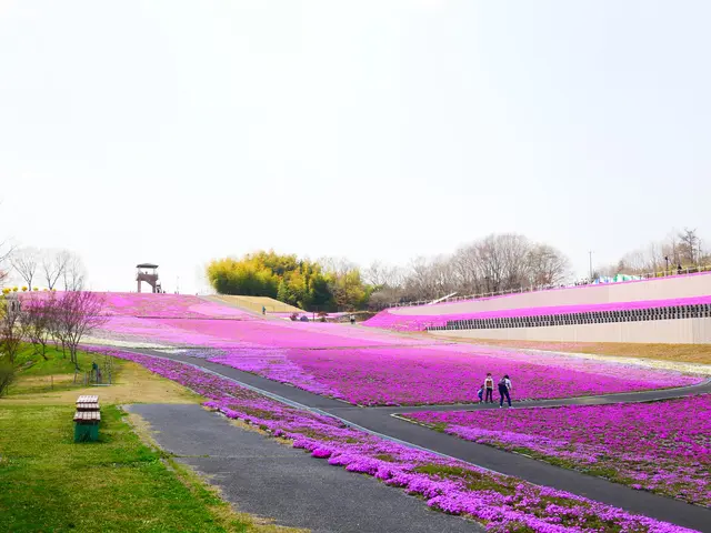 市貝町芝ざくら公園