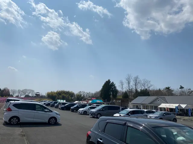 市貝町芝ざくら公園