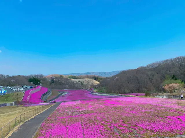 市貝町芝ざくら公園