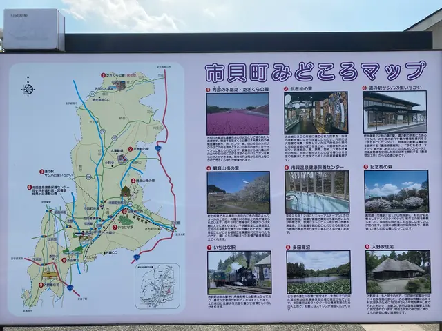 市貝町芝ざくら公園