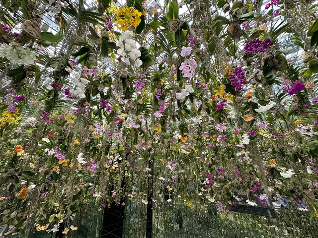 チームラボプラネッツ TOKYO (teamLab Planets TOKYO) DMM