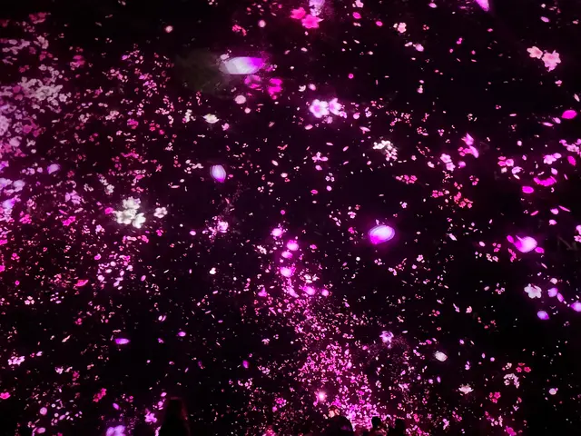 チームラボプラネッツ TOKYO (teamLab Planets TOKYO) DMM