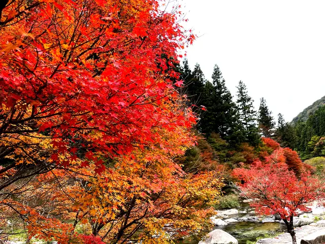滝ノ口河川公園