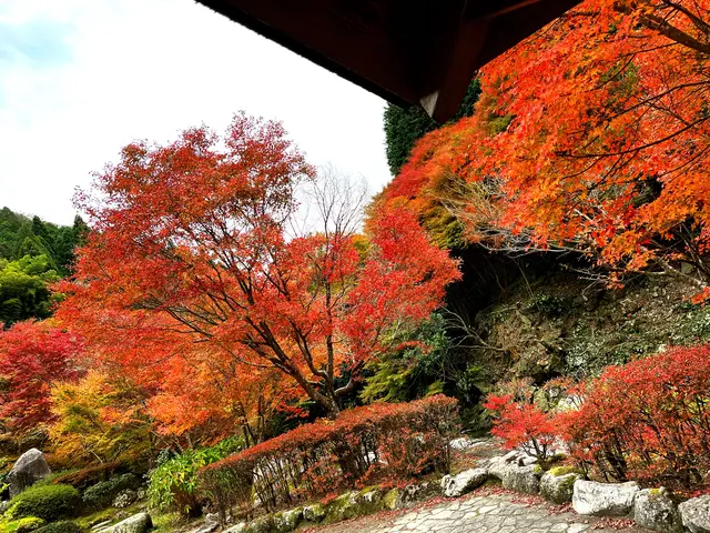 滝ノ口河川公園