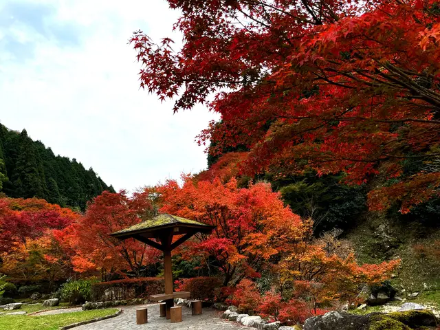 滝ノ口河川公園