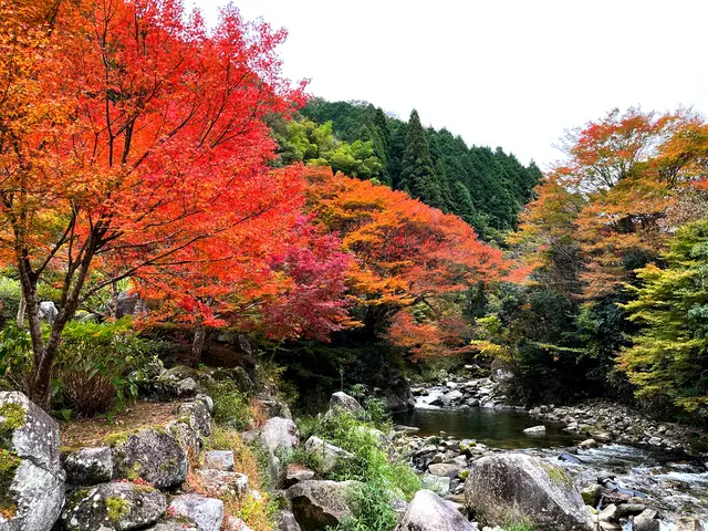 滝ノ口河川公園