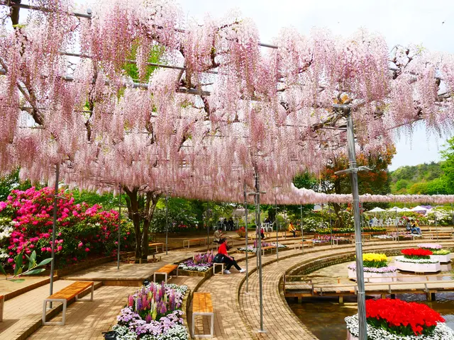 あしかがフラワーパーク