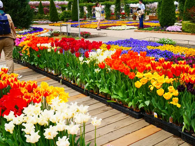 あしかがフラワーパーク