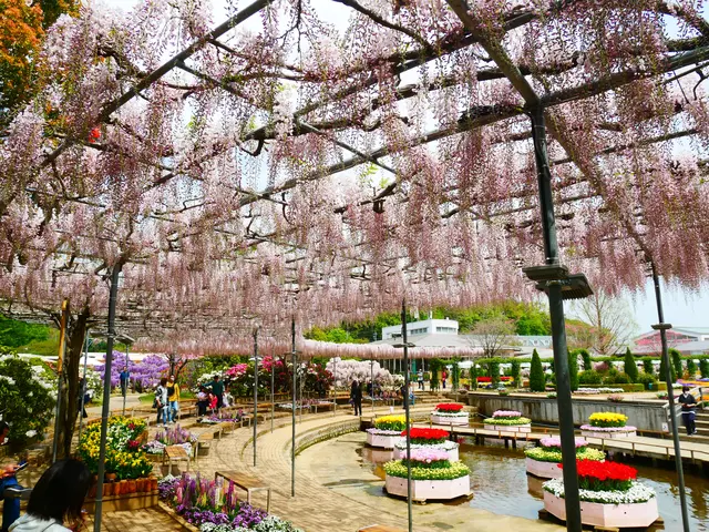 あしかがフラワーパーク