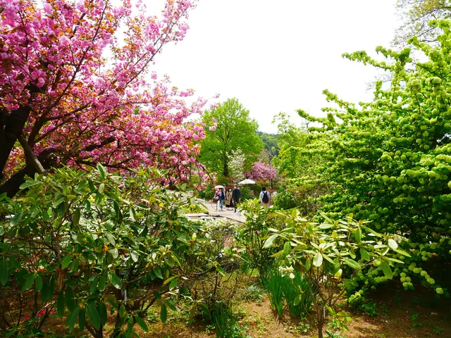 あしかがフラワーパーク