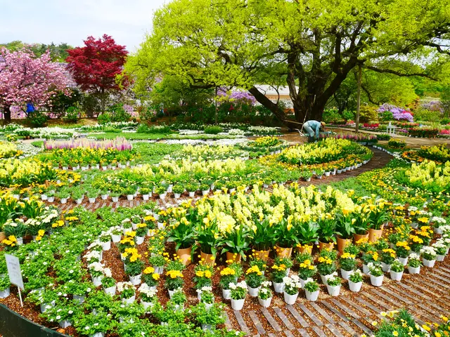 あしかがフラワーパーク