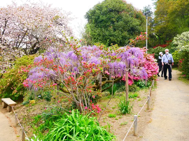 あしかがフラワーパーク