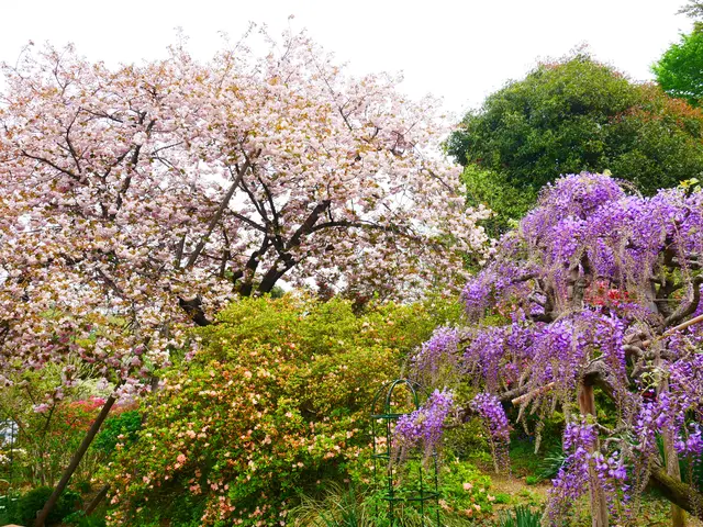 あしかがフラワーパーク