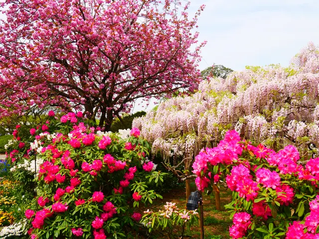 あしかがフラワーパーク