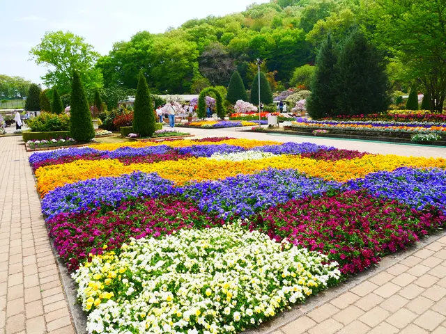 あしかがフラワーパーク