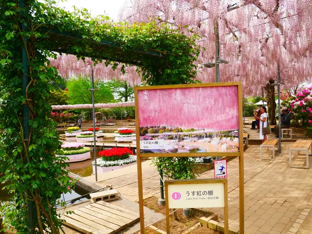 あしかがフラワーパーク