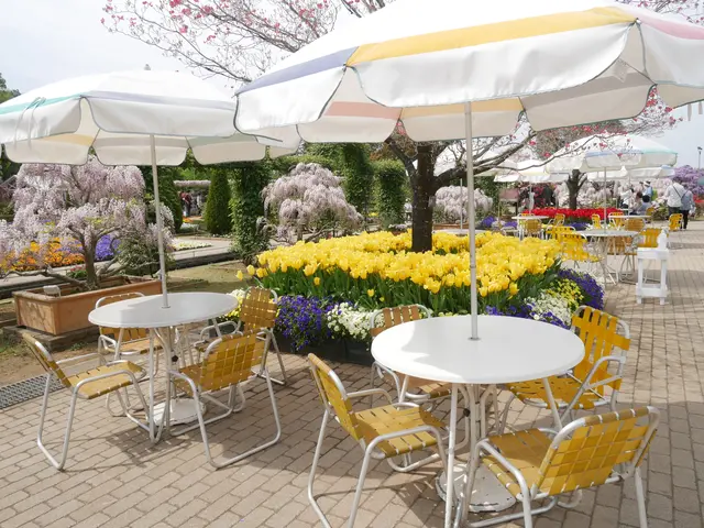 あしかがフラワーパーク