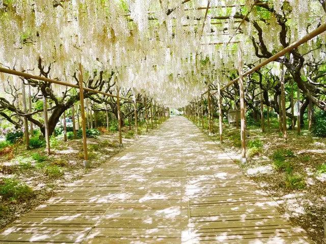 あしかがフラワーパーク