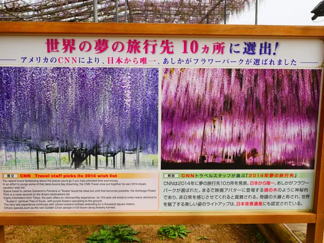 あしかがフラワーパーク