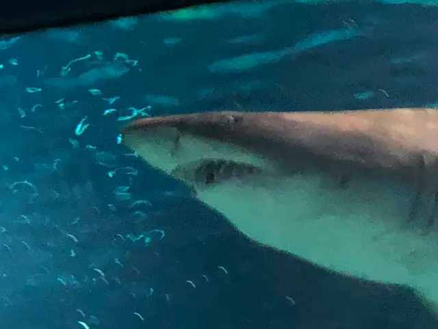 アクアワールド茨城県大洗水族館