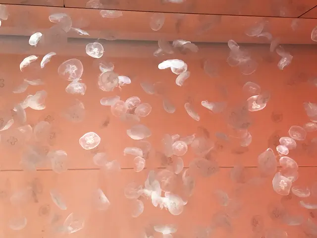 アクアワールド茨城県大洗水族館