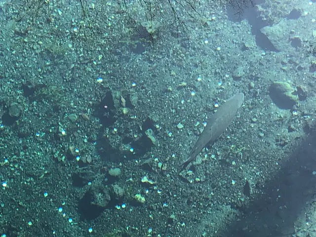 忍野八海