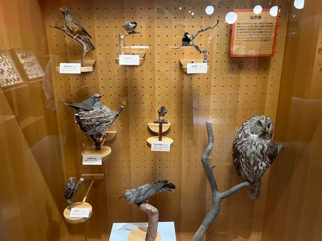 松本市アルプス公園