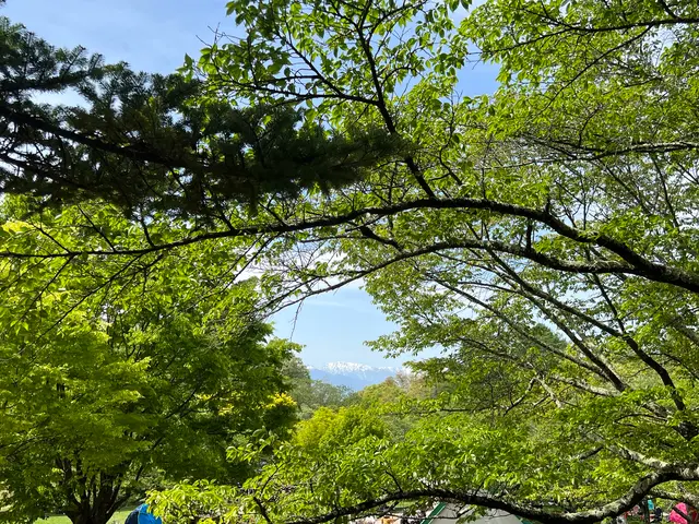 松本市アルプス公園