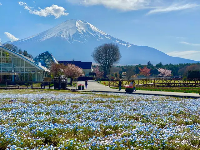 山中湖花の都公園