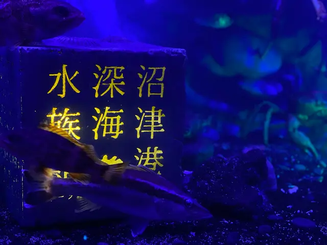 沼津港深海水族館