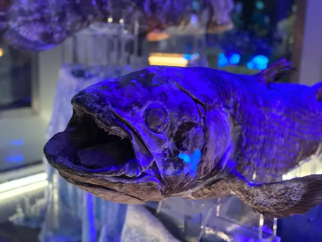 沼津港深海水族館