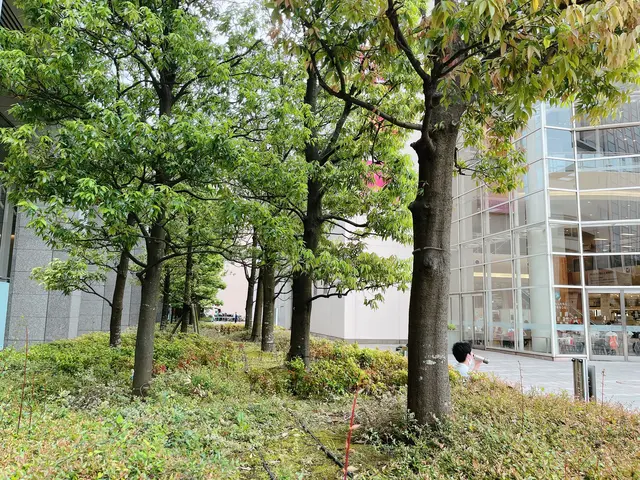 深川ギャザリア