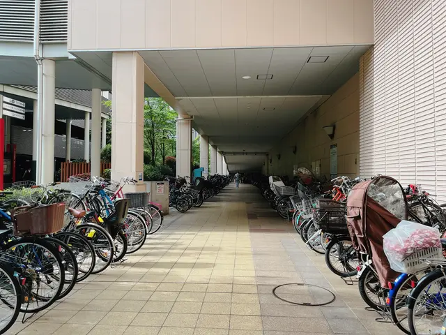 イトーヨーカドー 木場店（深川ギャザリア内）