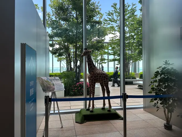 ハルカス300 展望台