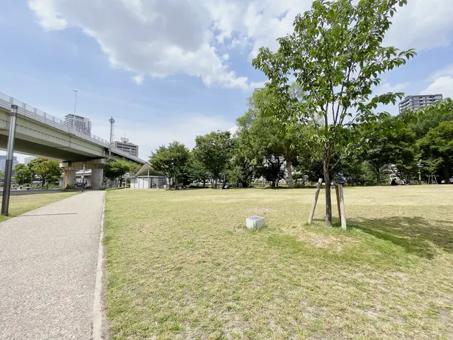 中之島公園 芝生広場
