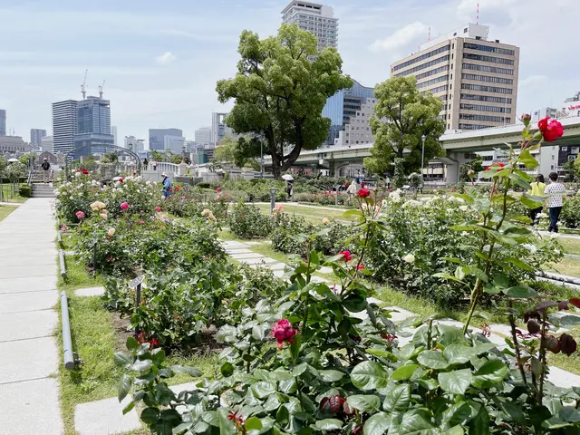 中之島公園