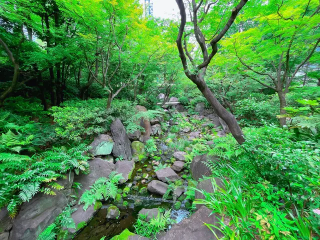 中自然の森