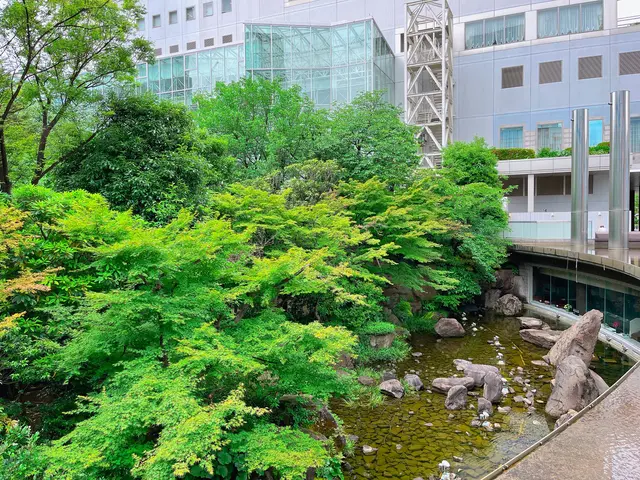 中自然の森