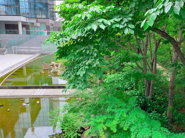 中自然の森