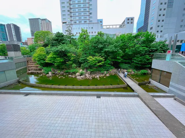 中自然の森