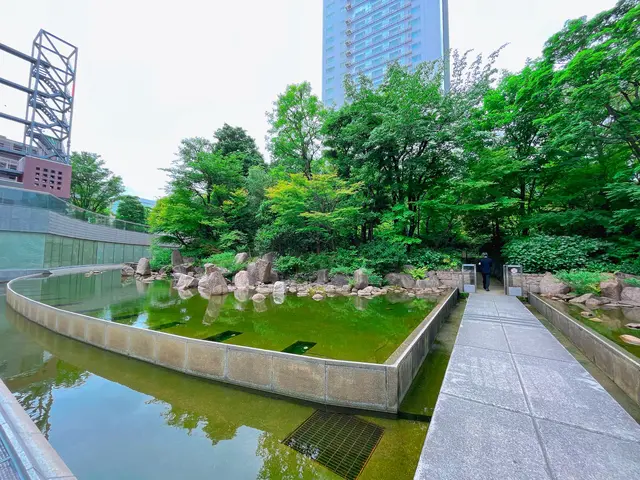 中自然の森