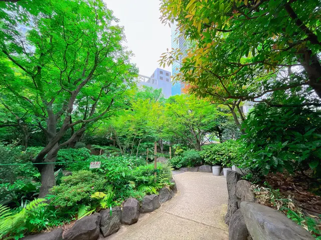 中自然の森