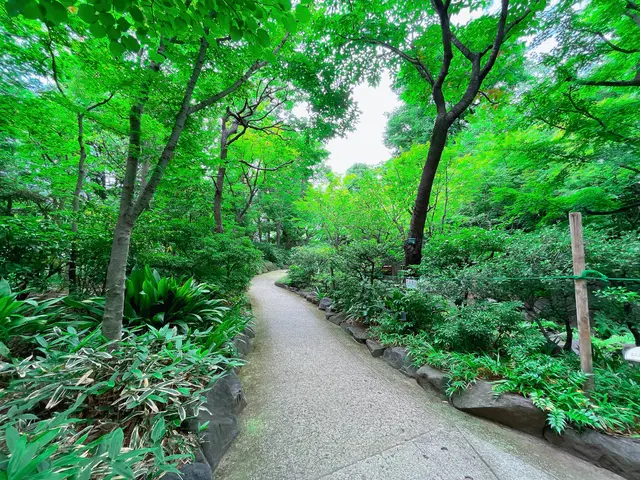 中自然の森