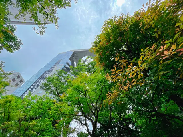 中自然の森