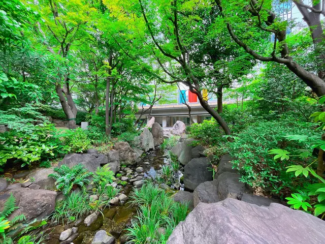 中自然の森