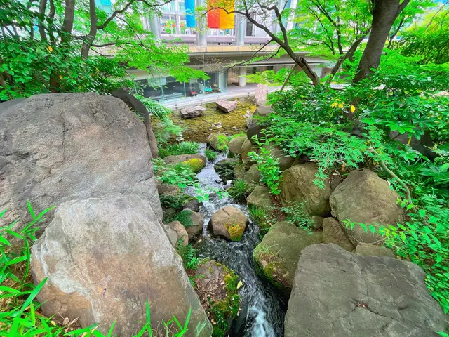 中自然の森