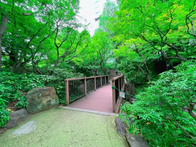 中自然の森
