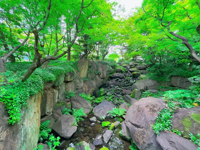 中自然の森