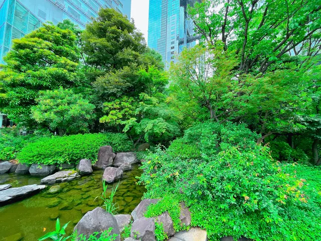 中自然の森